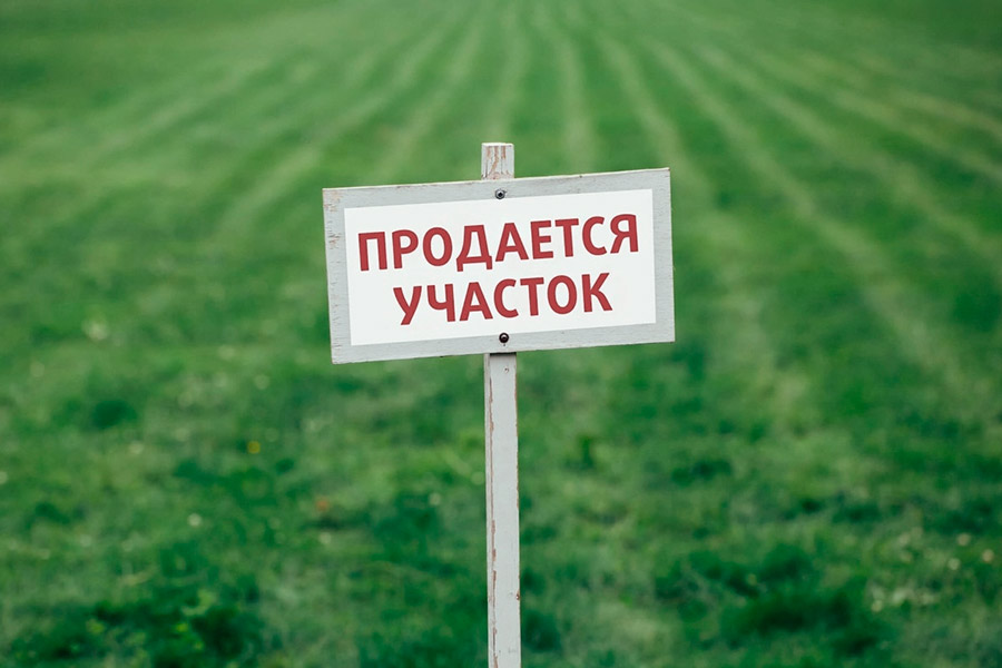 Три земельных участка продают с аукциона в Кобринском районе — адреса и начальная цена