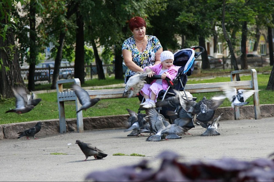 Что делать, если не успел открыть базовый счет для социальных выплат — рассказали в Минтруда