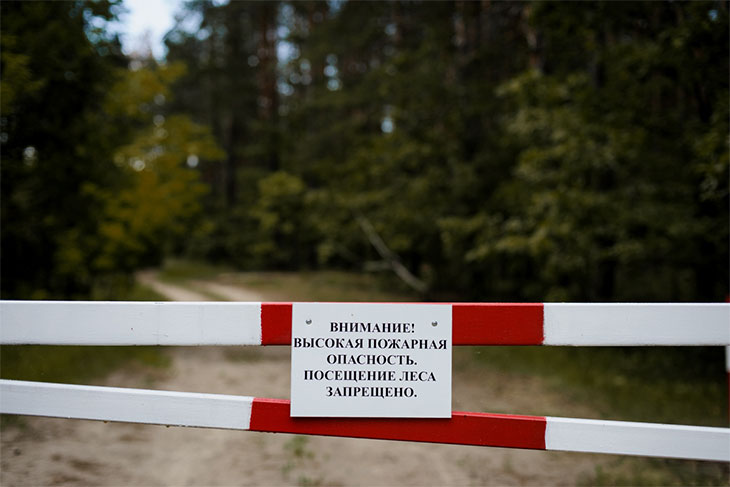 13 августа в Кобринском районе ввели запрет на посещение лесов