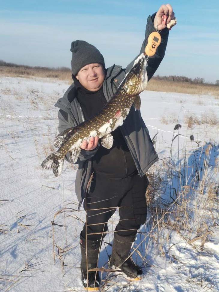 Кобринские рыбаки блеснули зимним уловом: один из них выловил щуку 8 кг – она ему приснилась