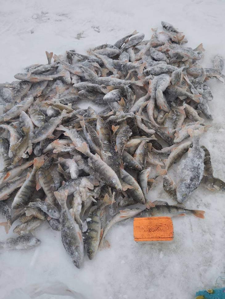 zimnyaya rybalka 02 160126