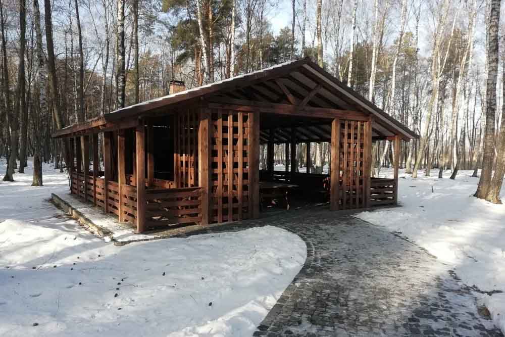 budiol kobrin 003