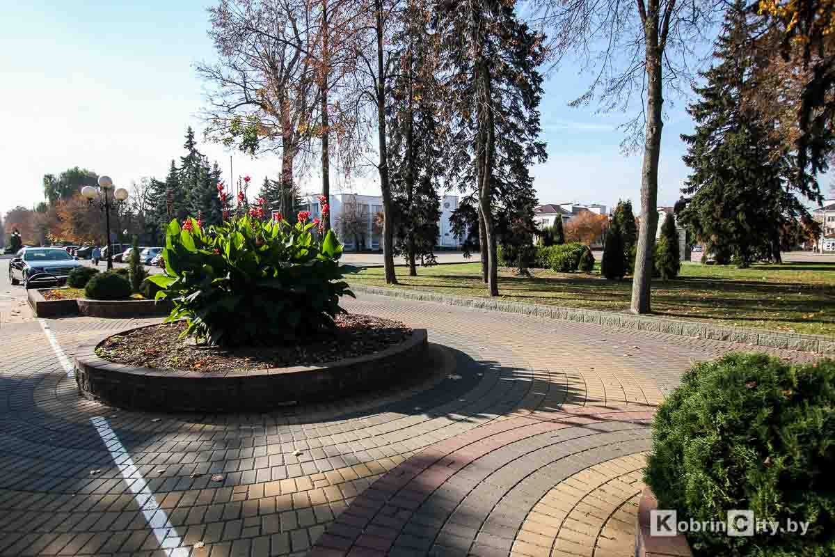 Осенняя прогулка по Кобрину. Яркий фоторепортаж