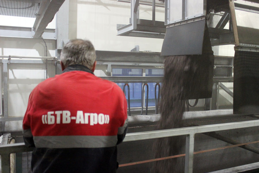BTV Agro31