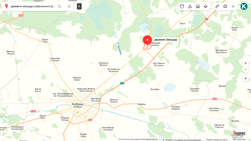 Медведь в Запрудах 18 июня 2019. Кобринский район