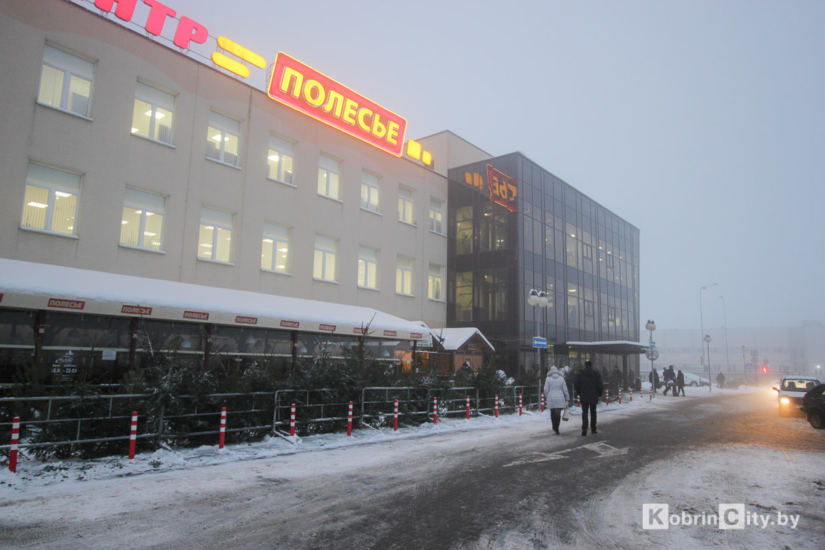 В Кобрине начали продавать живые ёлки