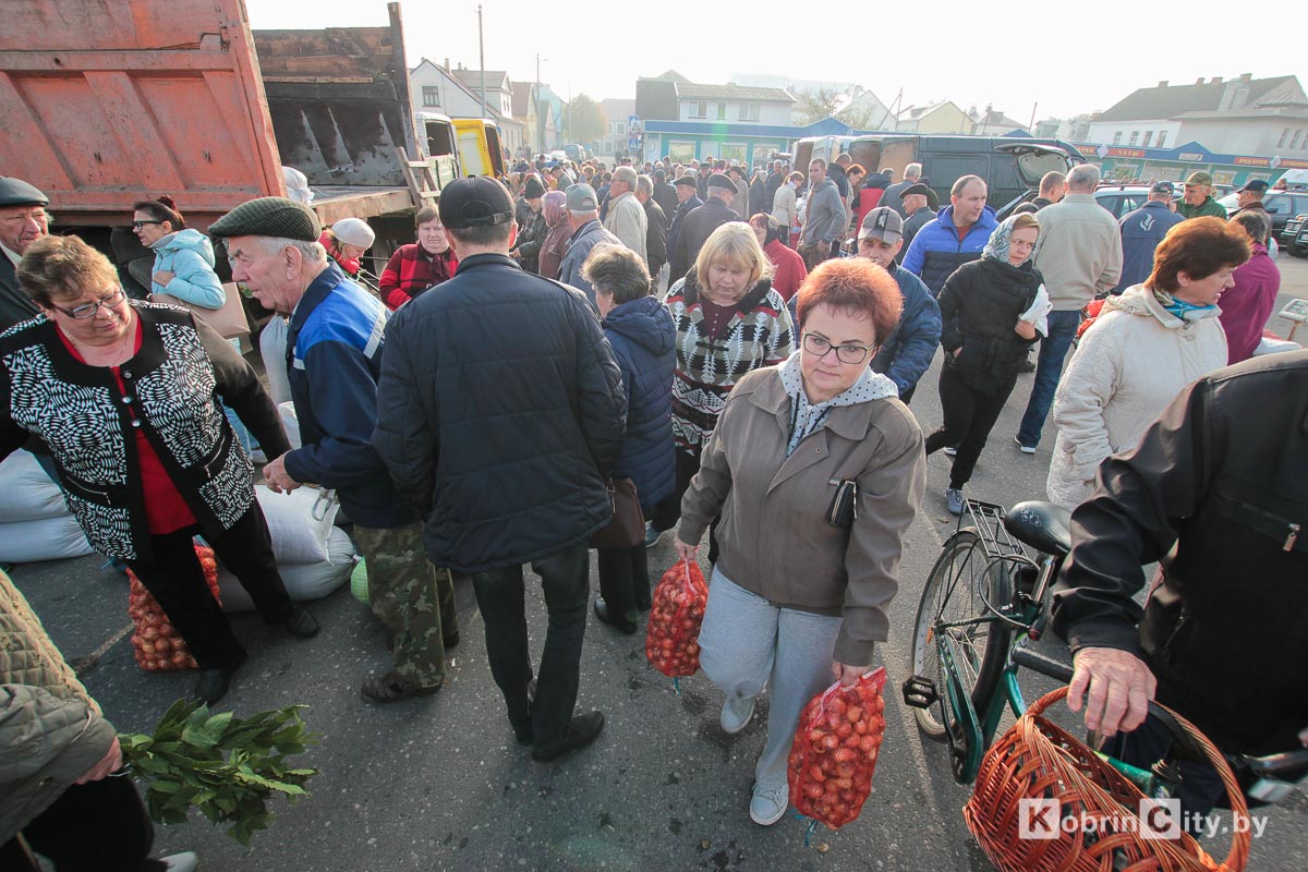 Ярмарка в Кобрине на площади Матросова