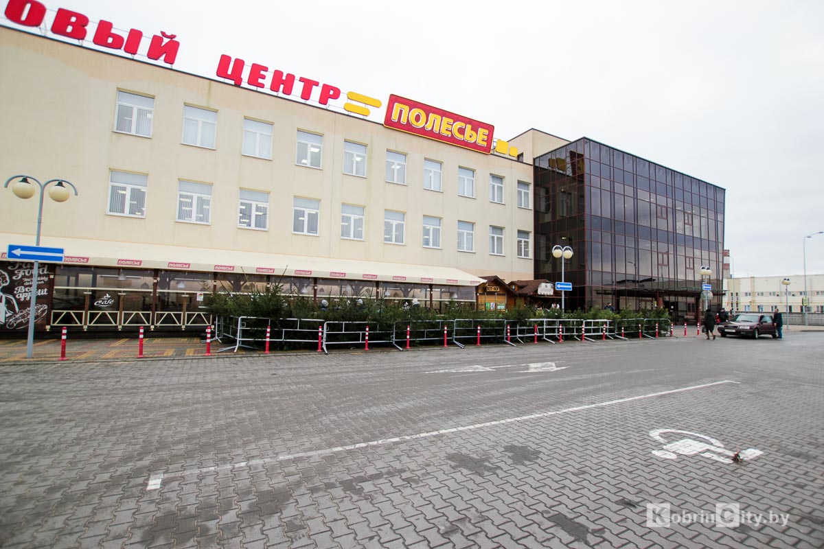 Ёлочный базар 2020-2021 в Кобрине у ТЦ «Полесье». Сколько стоят новогодние ели и сосны?