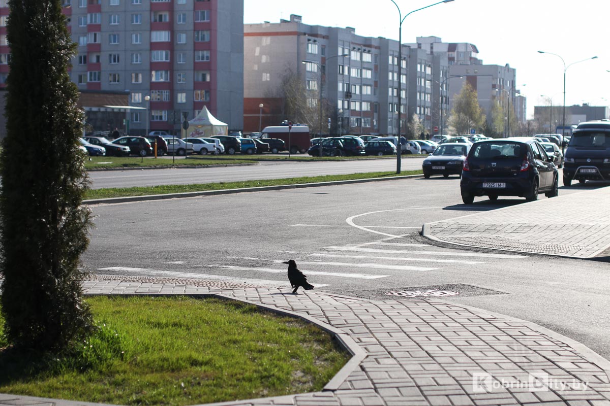 Весна в Кобрине 2020. Фоторепортаж