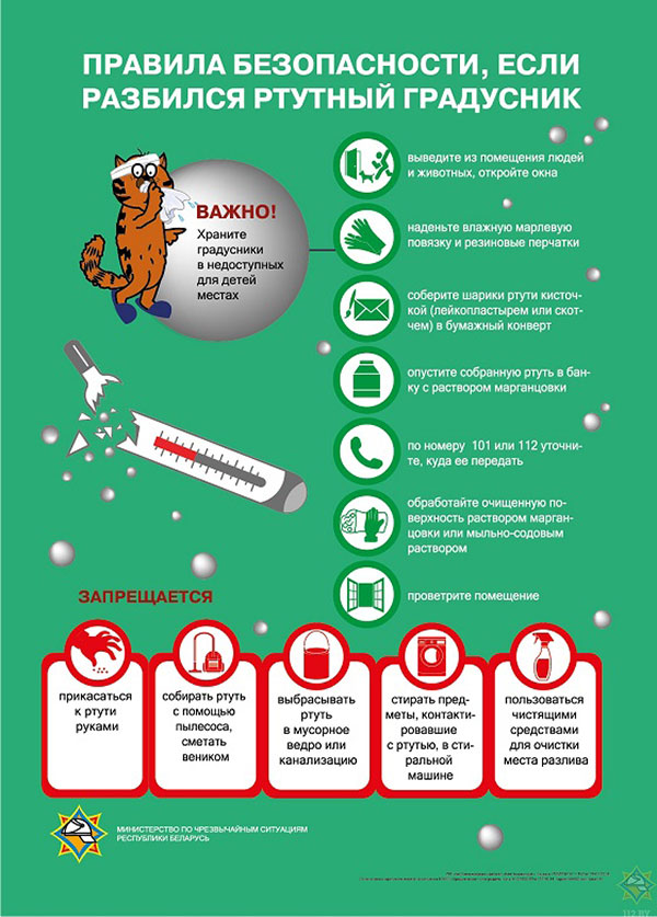 infografikagradus600