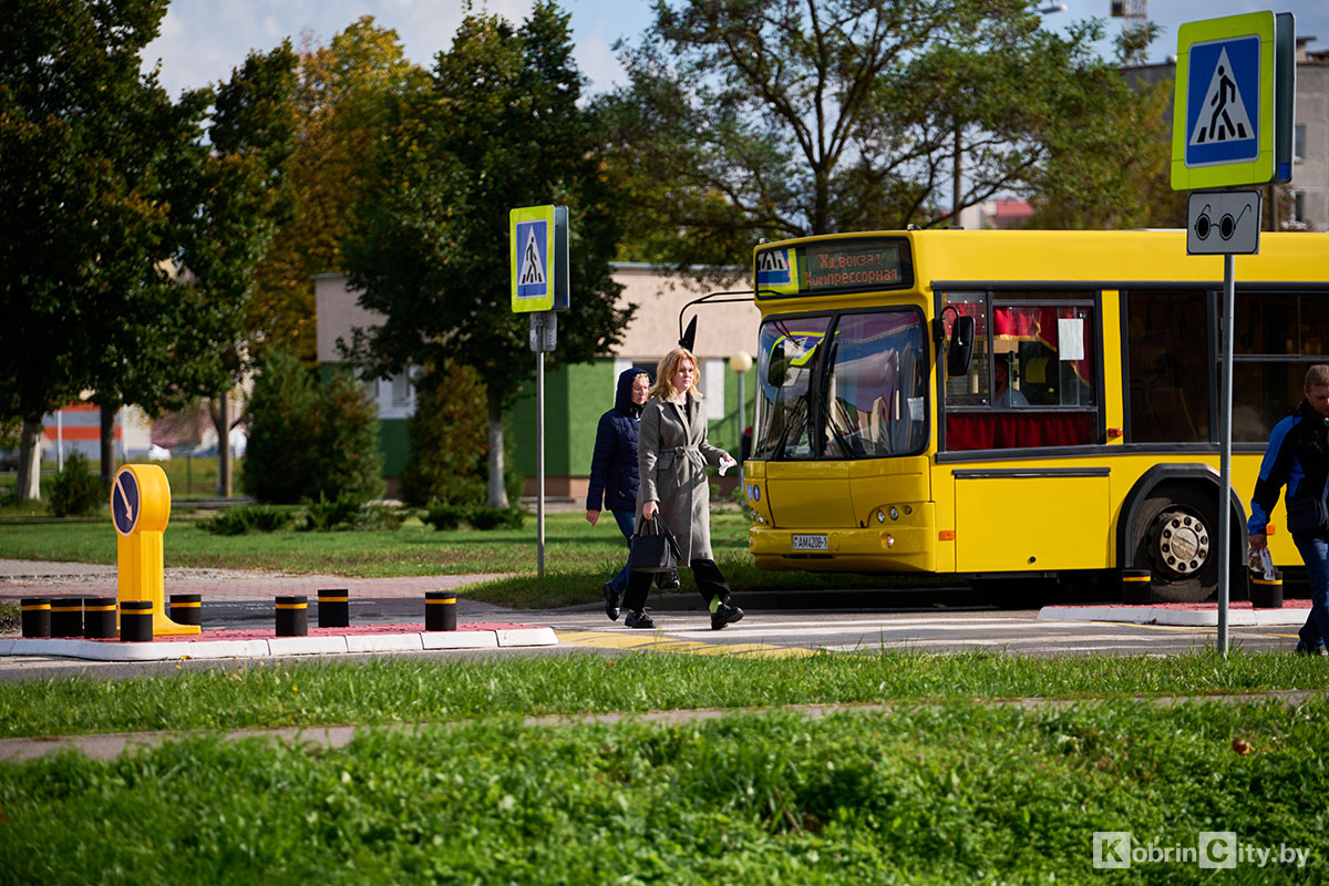 5ostrowokKobrin