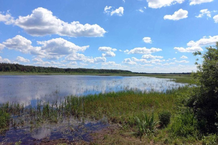 podmostok uborka 4