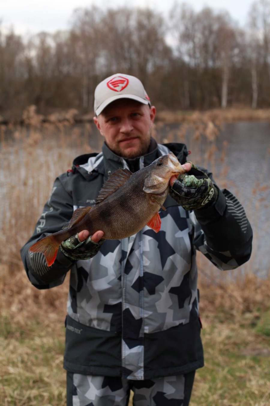 kobrin detka