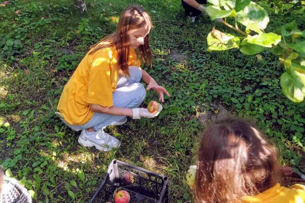 Волонтеры отряда «БлагоДарю» из Кобрина помогли благоустроить территорию Спасского женского монастыря