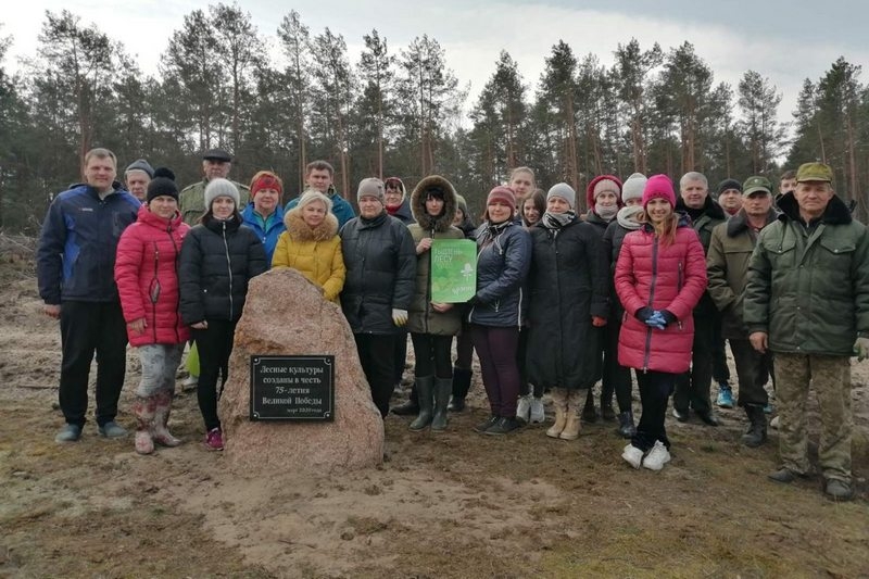 «Неделя леса 2020» в Кобринском районе: высажено более 130 тысяч единиц лесных культур