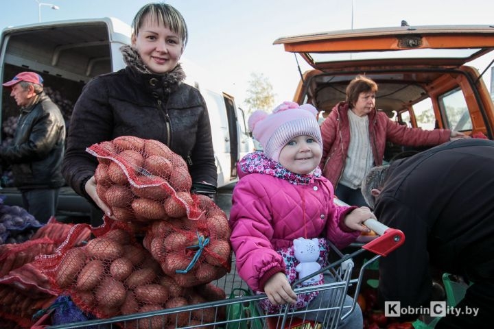 Кірмашы па продажу сельскагаспадарчай прадукцыі ў Кобрыне