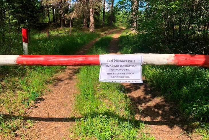 Посещение лесов в Кобринском районе запрещено