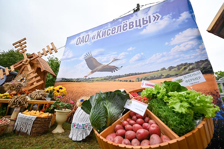 dazhynki 26 13