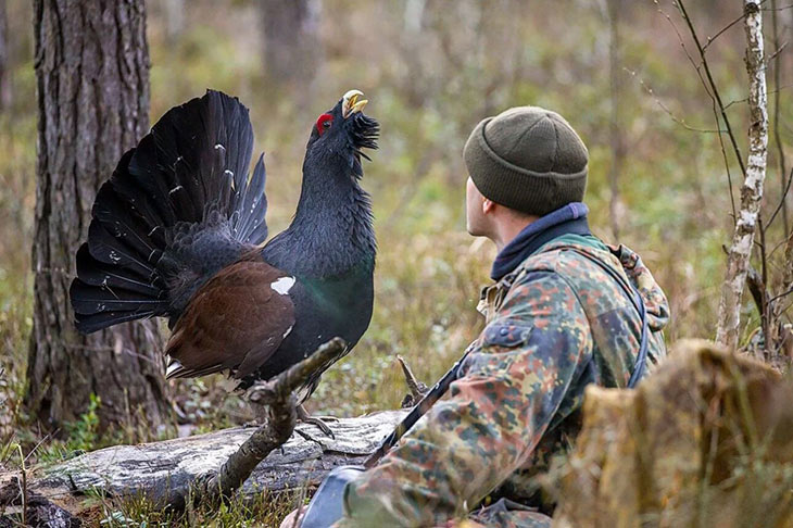 ivanov i glukhar