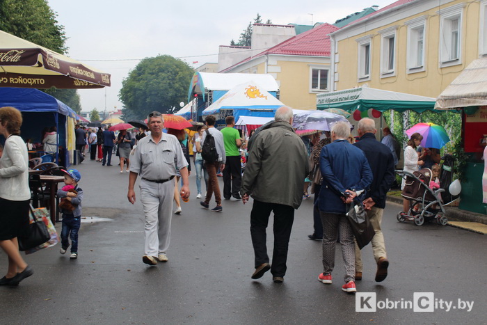 den goroda 2018 39