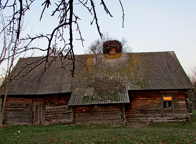 zabrochenoe gnezdo