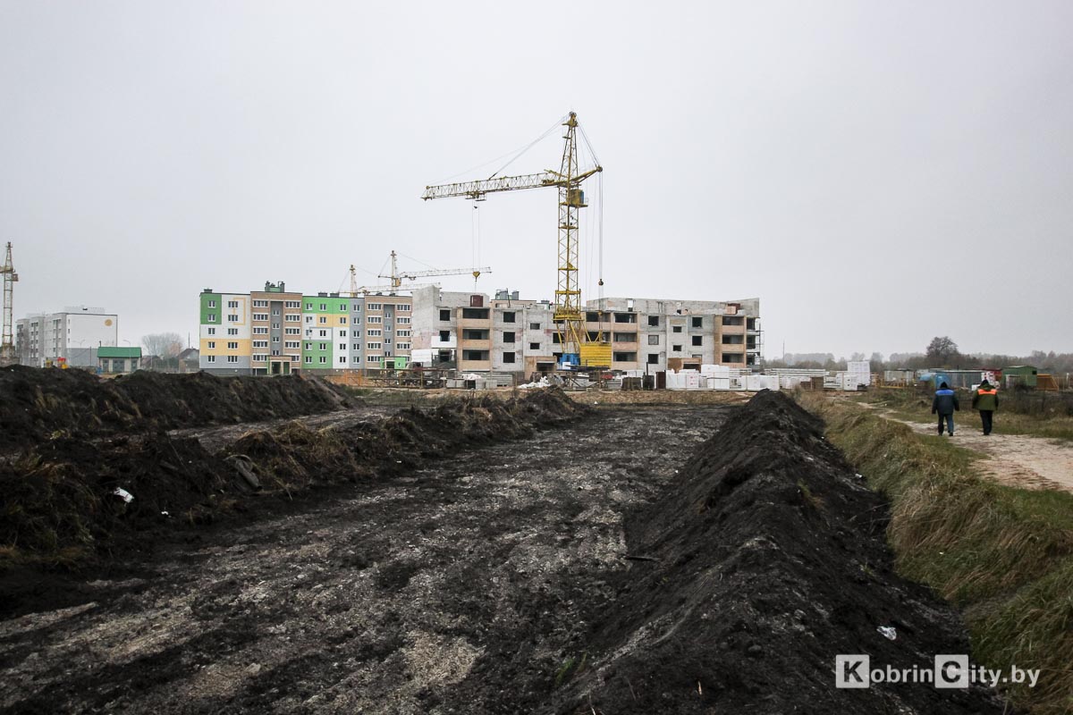 new school kobrin 223