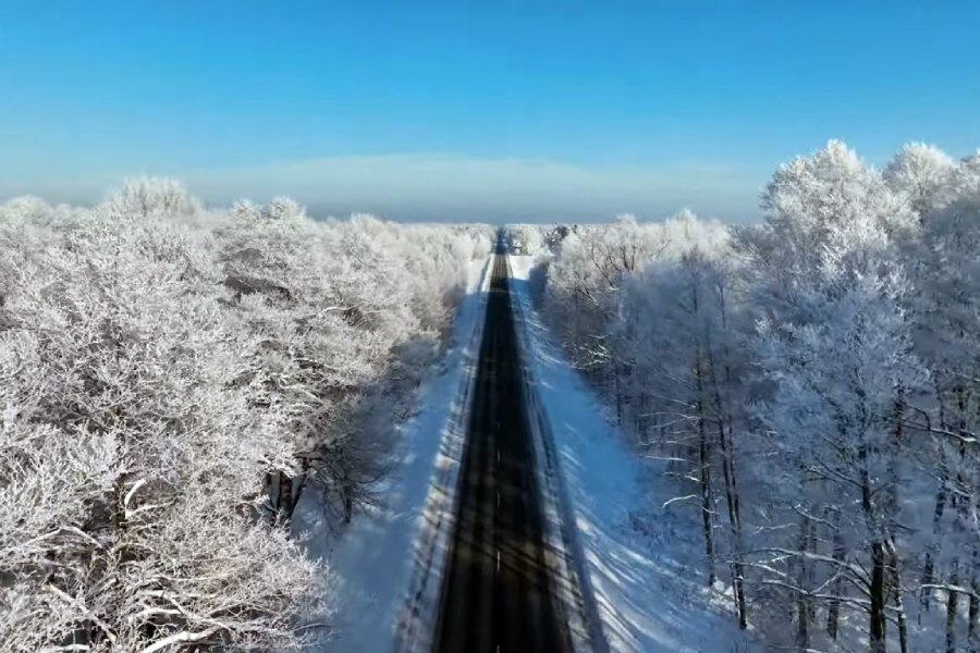 Какой красивой была зима в Брестской области. Видео #ВаськиПилота
