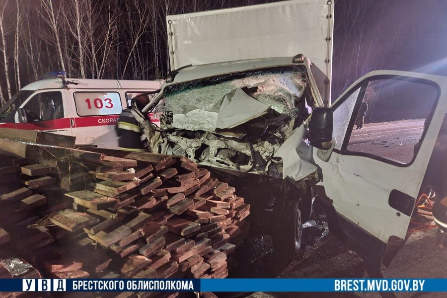Грузовик врезался в прицеп с дровами на трассе М1 в Жабинковском районе (видео)