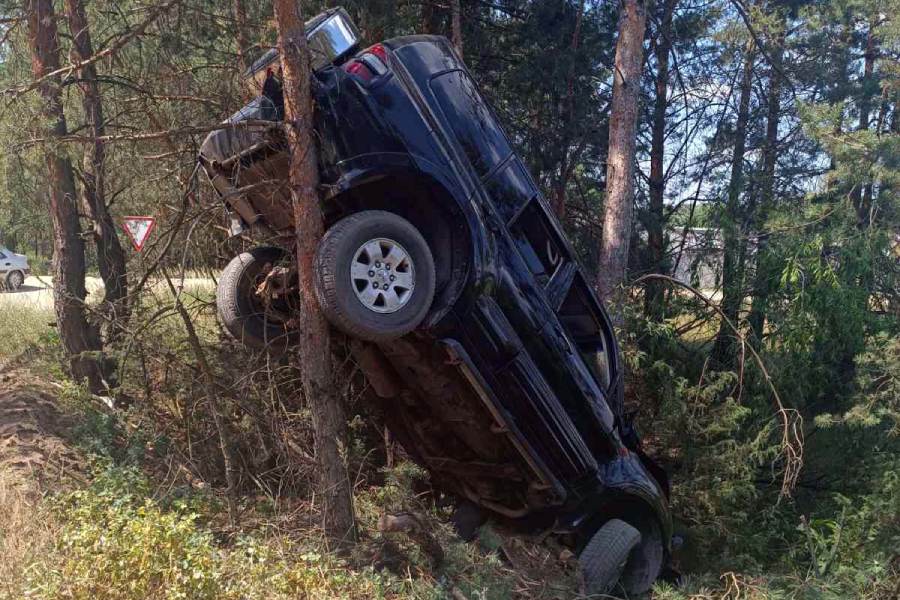 В Кобринском районе внедорожник вылетел с дороги и застрял между деревьев