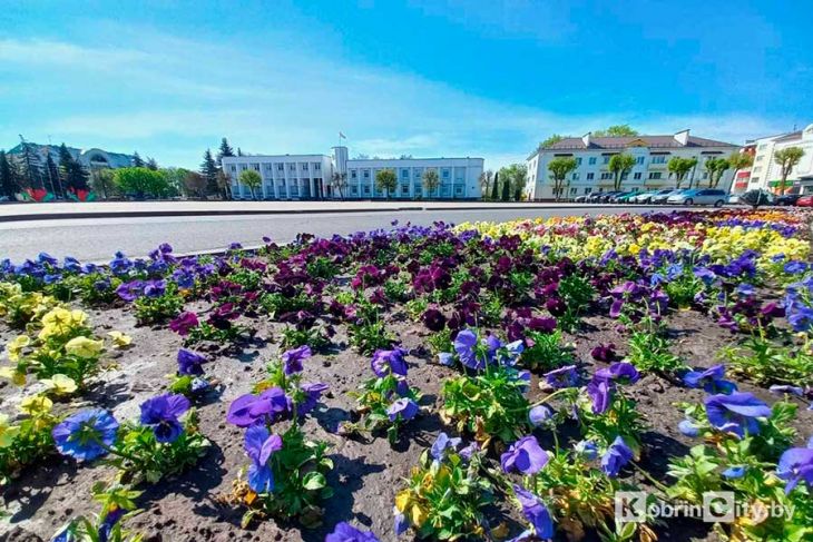 Тепло и солнечно — погода в Кобрине в субботу и воскресенье