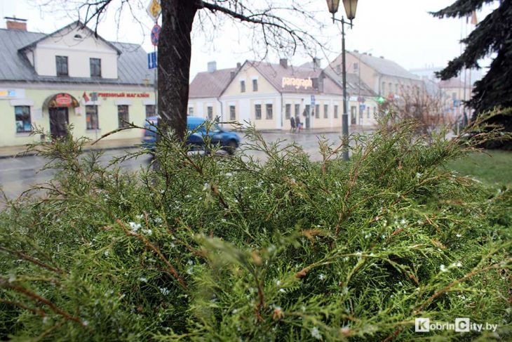 Прогноз погоды на выходные в Кобрине — возможно синоптики ошибаются. Обещают ветер и осадки