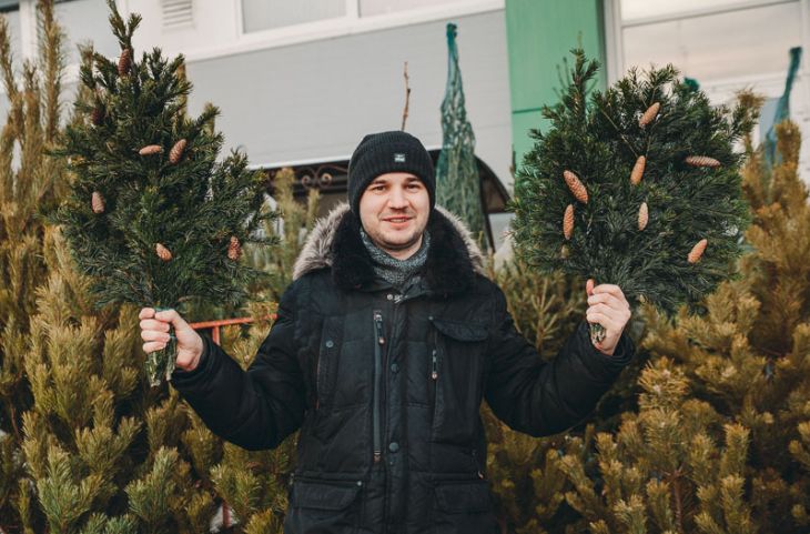 Где купить живую елку на Новый год? Даты и адреса елочных базаров в Кобрине и Бресте