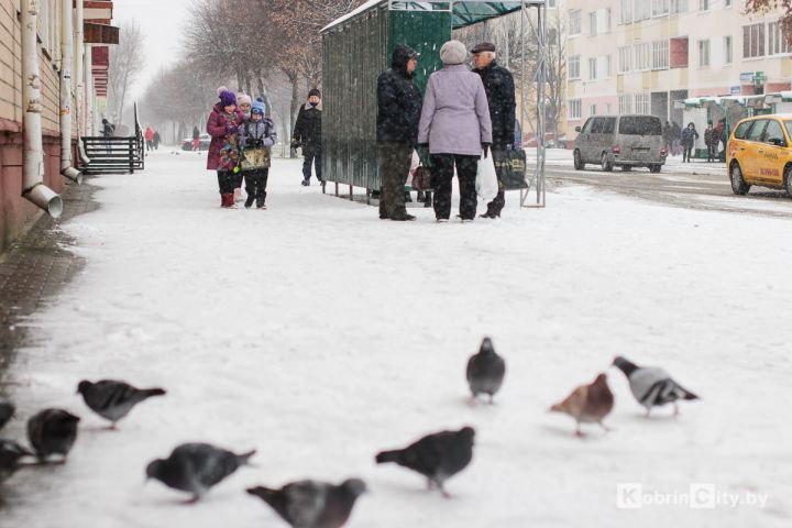 Новый список «тунеядцев», подорожание кредитов и длинные выходные – что ещё ждёт белорусов в декабре