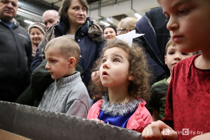 Новогодний утренник на Полесье. Кобрин 2019