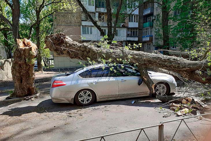 Летние сюрпризы погоды: кто оплатит ремонт авто, если его залило или придавило деревом?
