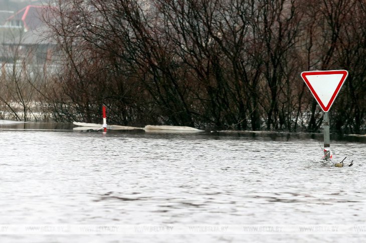 Дачные участки и дорога под водой — подтопления талыми водами в Брестском районе