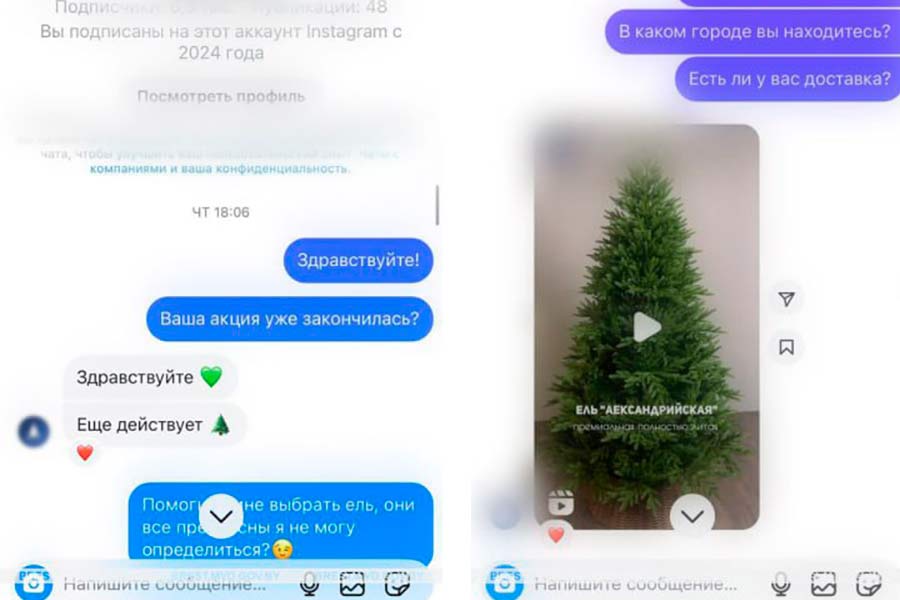 Сезон открыт: мошенники «продают» ели. В Брестской области две женщины уже потеряли 880 рублей